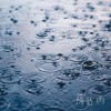 阳光.雨