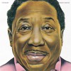 Muddy Waters Mamie (Album Version) 试听