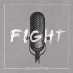 Fight详情