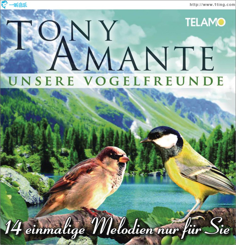 我们的鸟/Unsere Vogelfreunde