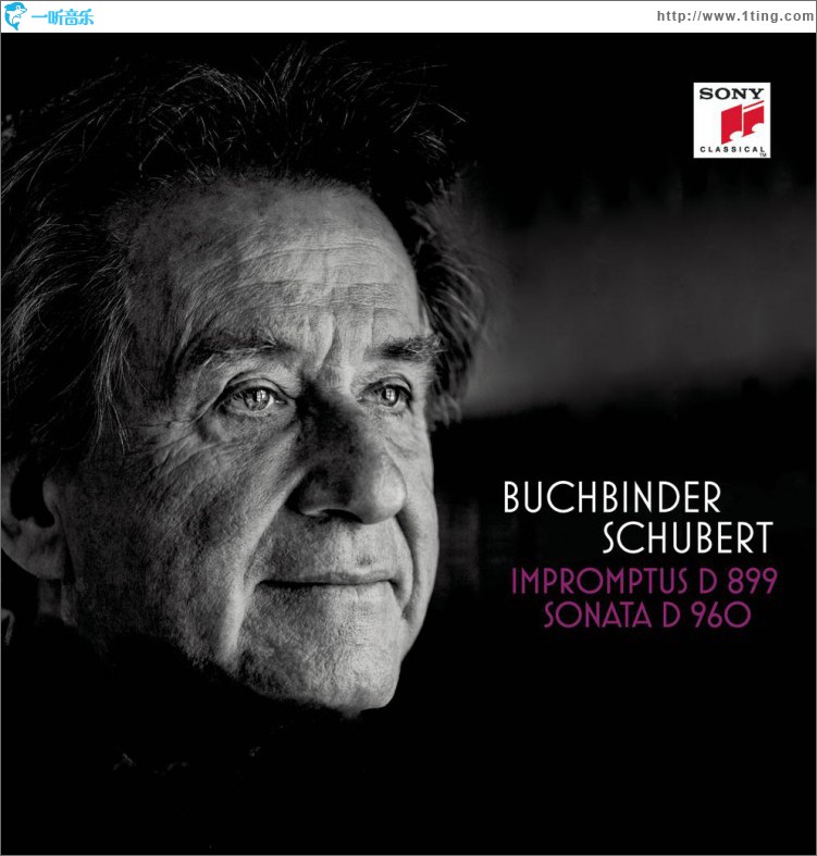 舒伯特:即兴曲D899，奏鸣曲D960 / Schubert: Impromptus D 899, Sonate D 960