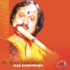 Ronu Majumdar Raga Parameshwari: Vilambit Dhamar and Drut Teental 试听