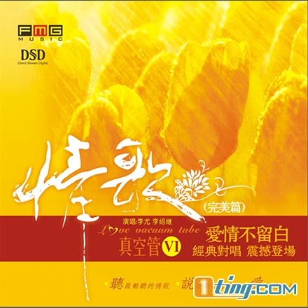 情歌真空管 Ⅵ