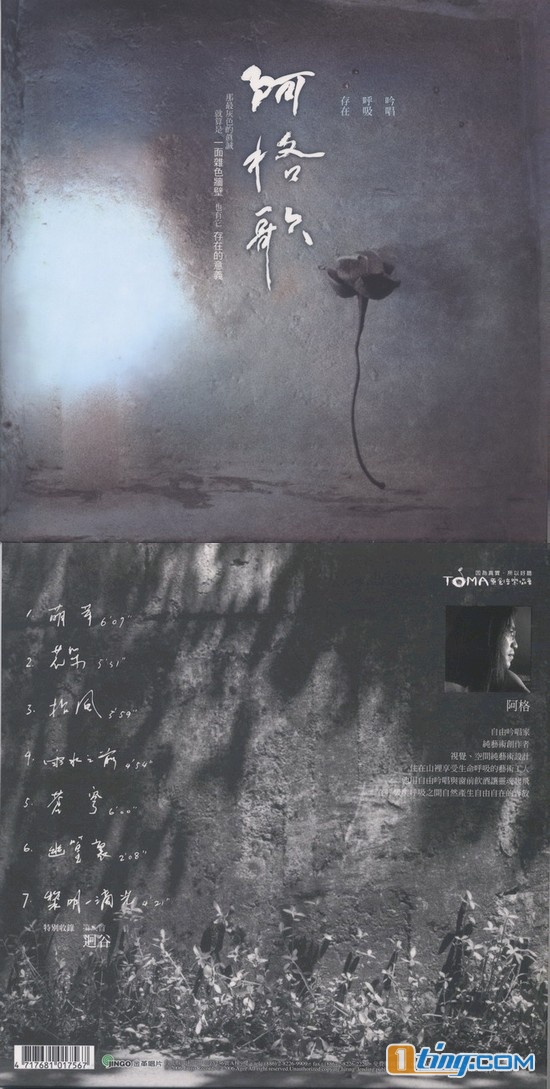 阿格歌
