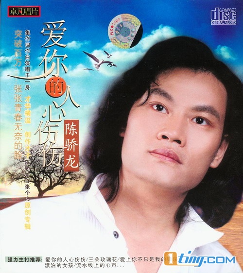 爱你的人心伤伤