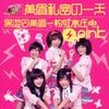 粉红高压电 / 私密的一天 DVD