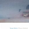 Tamas Wells From Prying Plans into the Fire 试听