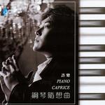 许乐钢琴随想曲详情