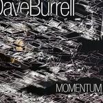 Momentum详情