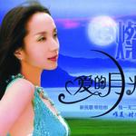 爱的月光详情
