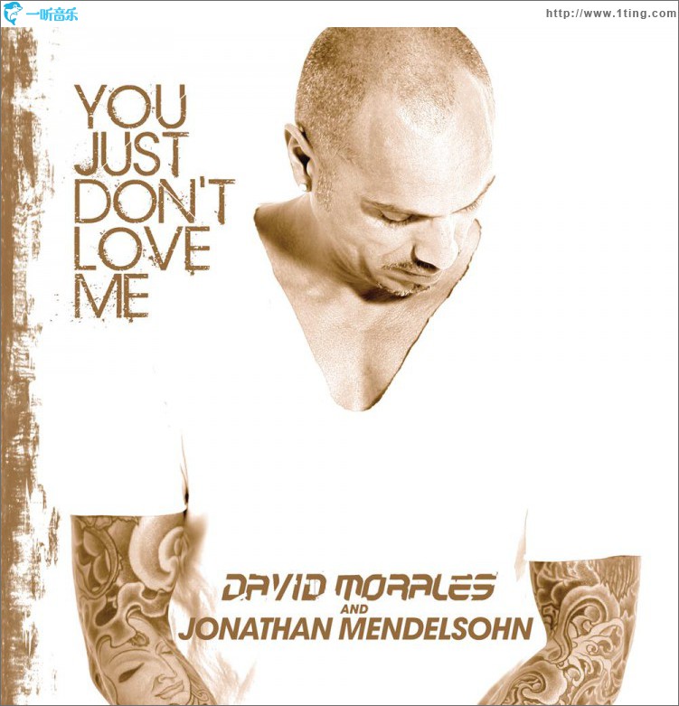 You Just Dont Love Me