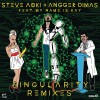 Steve Aoki Singularity (Tim Mason Remix) 试听