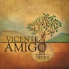 Vicente Amigo Campos De San Gregorio 试听
