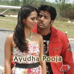 Ayudha Pooja详情
