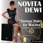 Sampai Habis Air Mataku ( X Factor Indonesia )详情