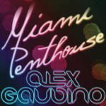 Miami Penthouse详情