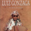 Luiz Gonzaga Vira E Mexe 试听