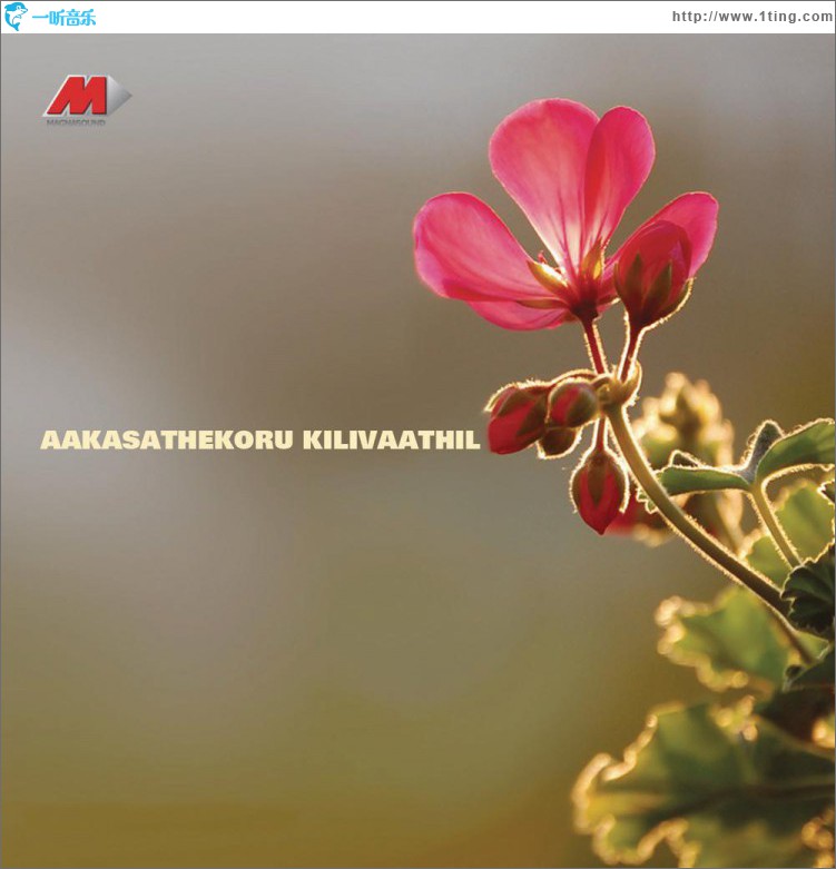 Aakasathekoru Kilivaathil (Original Motion Picture Soundtrack)