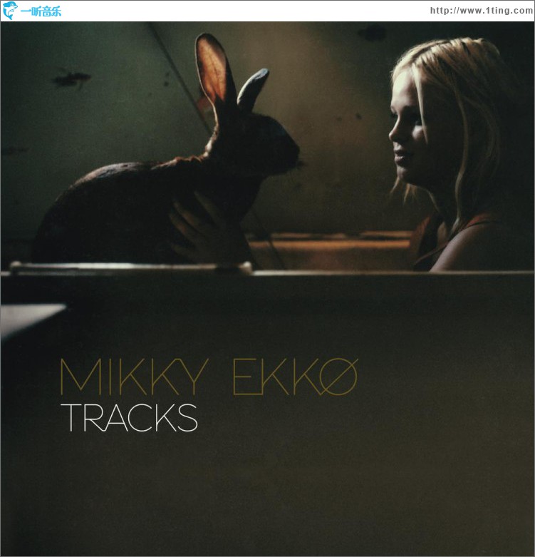 tracks