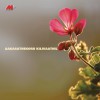 Ouseppachan Paal Nurayay (Version I) 试听