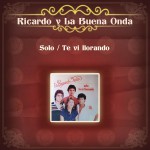 Solo / Te Vi Llorando详情