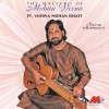 Vishwa Mohan Bhatt Raga Basant (Gat in Madhyalaya Teen Taal) 试听