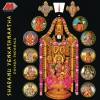 Sree Vidyabhooshana Sharanu Venkatanaatha 试听