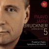 Paavo Järvi II. Adagio. Sehr langsam 试听