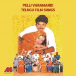 Pellivaramandi详情