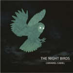 The Night Birds详情