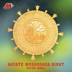 Aayate Muqaddasa Qirat详情