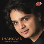 Shangaar详情