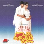 Allari Pellam详情