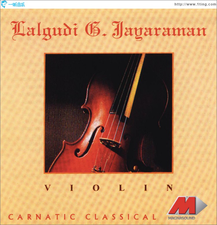 Violin
