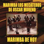 Marimba de Hoy详情