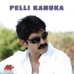Pellikanuka详情