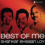 Best Of Me: Shankar Ehsaan Loy详情