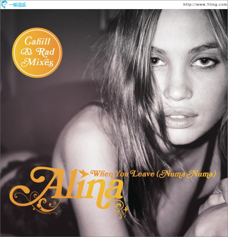 When You Leave (Numa Numa) [Remixes Part 2]