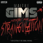 Meurtre par strangulation详情