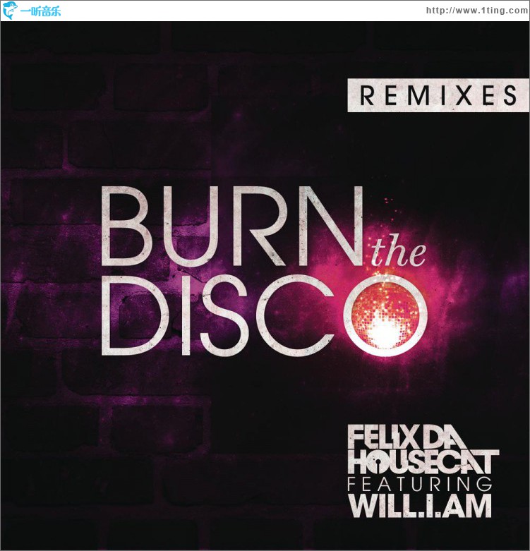 Burn The Disco (Remixes)