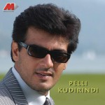 Pelli Kudirindi详情