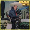 Gerardo Reyes Amigo Mio (Album Version) 试听