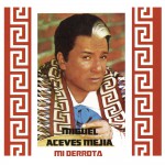Mi Derrota详情
