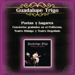 Poetas y Lugares Conciertos Grabados en el Polifórum, Teatro Hidalgo y Teatro De详情