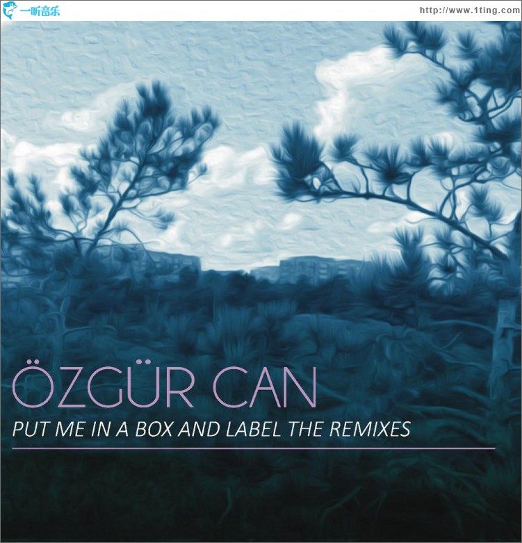 Put Me in a Box and Label the Remixes