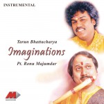 Imaginations详情