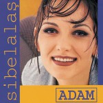 Adam详情