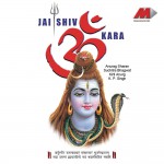 Jai Shiv Om Kara详情