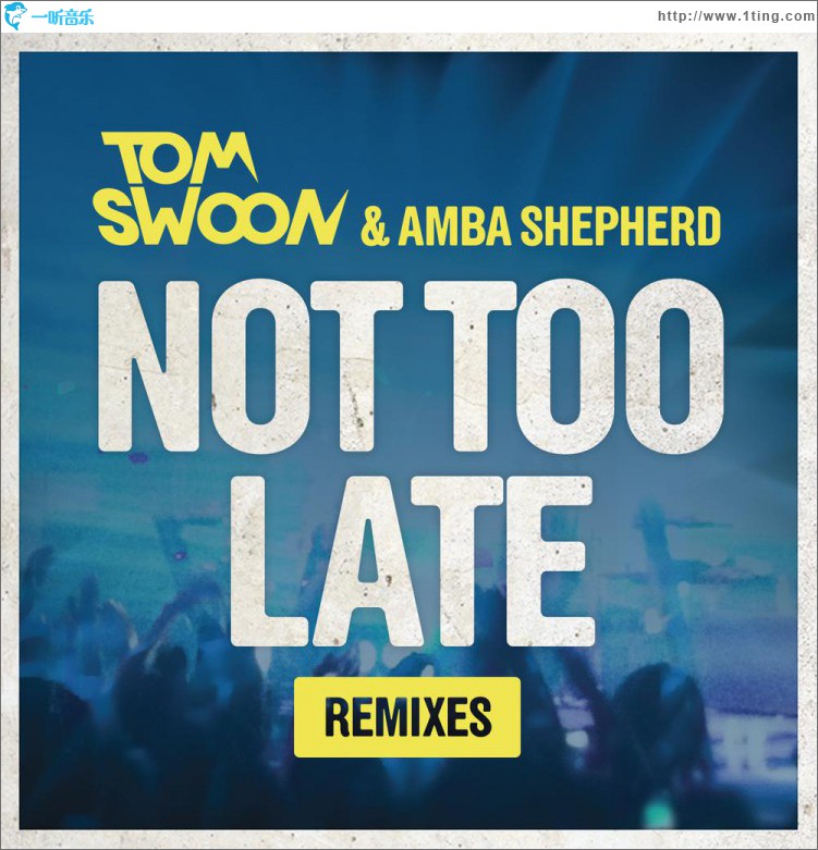 Not Too Late (Remixes)