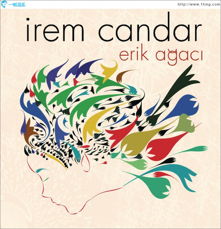 Erik Agaci